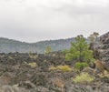 Sunset Crater Volcano Lava Pool, formed from the Bonito`s Lava Flow. Ponderosa Pine Trees growing on the lava rock. In Northern Ar Royalty Free Stock Photo