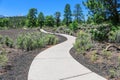 Sunset Crater Volcano National Monument. Royalty Free Stock Photo