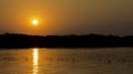 Sunset cruise in Zambezi River, Zimbabwe, Africa. Royalty Free Stock Photo