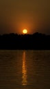 Sunset cruise in Zambezi River, Zimbabwe, Africa. Royalty Free Stock Photo