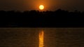 Sunset cruise in Zambezi River, Zimbabwe, Africa. Royalty Free Stock Photo