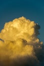 Sunset cumulus clouds on tropical horizon.