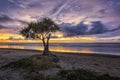 Sunset At Dalit Beach Royalty Free Stock Photo