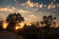 Sunset in Danube Delta