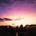 Sunset. Dark buildings in contrast with pink sky