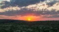 Sunset dawn sunrays over the city sky field flowers Royalty Free Stock Photo