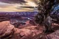 Sunset at Dead Horse Point State Park Royalty Free Stock Photo