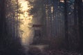 Sunset in deep foggy winter forest Royalty Free Stock Photo