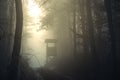 Sunset in deep foggy winter forest Royalty Free Stock Photo