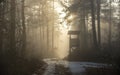 Sunset in deep foggy winter forest Royalty Free Stock Photo