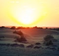 Sunset in the desert Royalty Free Stock Photo