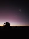 Sunset desert blue sky night sunrise atacama moon tree