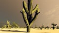 Sunset in the Desert with Cacti 3d rendering Royalty Free Stock Photo