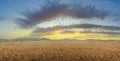 Sunset in desert landscape, dry soil background Royalty Free Stock Photo