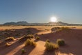 Sunset in desert landscape, NamibRand Nature Reserve, Namib, Namibia, Africa Royalty Free Stock Photo