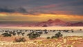 Sunset in desert landscape of  NamibRand Nature Reserve, Namib, Namibia, Africa Royalty Free Stock Photo