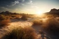 Sunset in the desert with sand dunes, California, USA Royalty Free Stock Photo