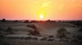 Sunset in the desert Royalty Free Stock Photo