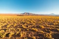 Sunset on the desertic Andean highlands, Southern Bolivia Royalty Free Stock Photo