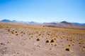 Sunset on the desertic Andean highlands, Southern Bolivia Royalty Free Stock Photo