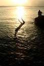 Sunset diving