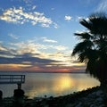 Sunset dock palm tree