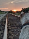 Sunset dogs view 1 ear up railroad