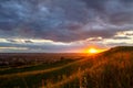 Sunset in dramatic cloudscape over wild herb field with distant city in view Royalty Free Stock Photo