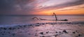 Driftwood on Sker Beach Royalty Free Stock Photo