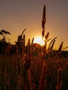 Sunset Dublin Ireland Royalty Free Stock Photo