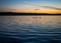 Sunset Ducks Royalty Free Stock Photo