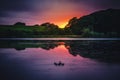 Sunset and ducks on lake Royalty Free Stock Photo