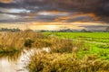 Sunset Dutch landscape Zaans Rietveld in Alphen aan den Rijn Royalty Free Stock Photo