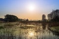 Sunset at East Lake Cherry Blossom Garden, Wuhan. Royalty Free Stock Photo