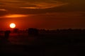 Sunset with elephant silhouettes in the Amboseli National Park