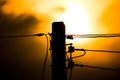 Sunset and Eletricity line and electricity post