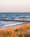 Sunset at an empty beach in the German island Usedom at the baltic sea with groynes and blurred golden grass in the foreground Royalty Free Stock Photo