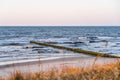 Sunset at an empty beach in the German island Usedom at the baltic sea with groynes and golden grass in the foreground Royalty Free Stock Photo