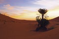 Sunset in the Erg Chebbi desert Morocco Africa Royalty Free Stock Photo