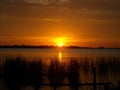 Sunset at the Estuaries Royalty Free Stock Photo