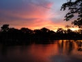 Sunset evening behind shadow black tree refect lake Royalty Free Stock Photo