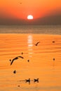 Sunset or evening time with blue sky at sea or ocean with seagull bird flying at Bang poo, Samutprakan, Thailand. Royalty Free Stock Photo