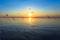 Sunset or evening time with golden sky at sea or ocean and seagull bird flying at Bang poo, Samutprakan, Thailand. Royalty Free Stock Photo