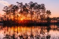 Sunset in the Everglades Royalty Free Stock Photo