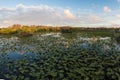 Sunset in Everglades National Park Royalty Free Stock Photo