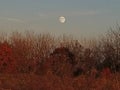 Autumn moon over the prairie