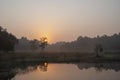 The Kanha Sunset