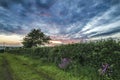 Sunset in farm fields with beautiful cloudy sky, Cornwall, UK