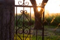 The sunset in the farm, the sunlight beams through the old gate of iron and a tree. Countryside landscape. Royalty Free Stock Photo