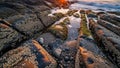 At sunset featuring elongated basalt formations covered in barnacles Royalty Free Stock Photo